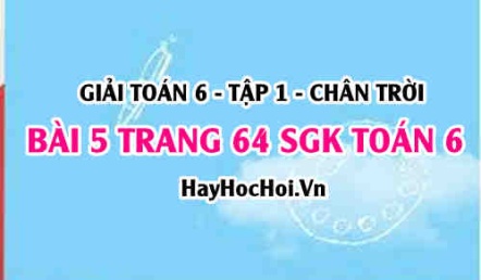 Giải bài 5 trang 64 Toán 6 Tập 1 SGK Chân trời sáng tạo